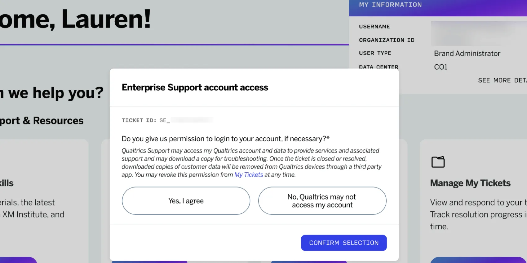 consentire laccessibilità di un account su un ticket di supporto aziendale