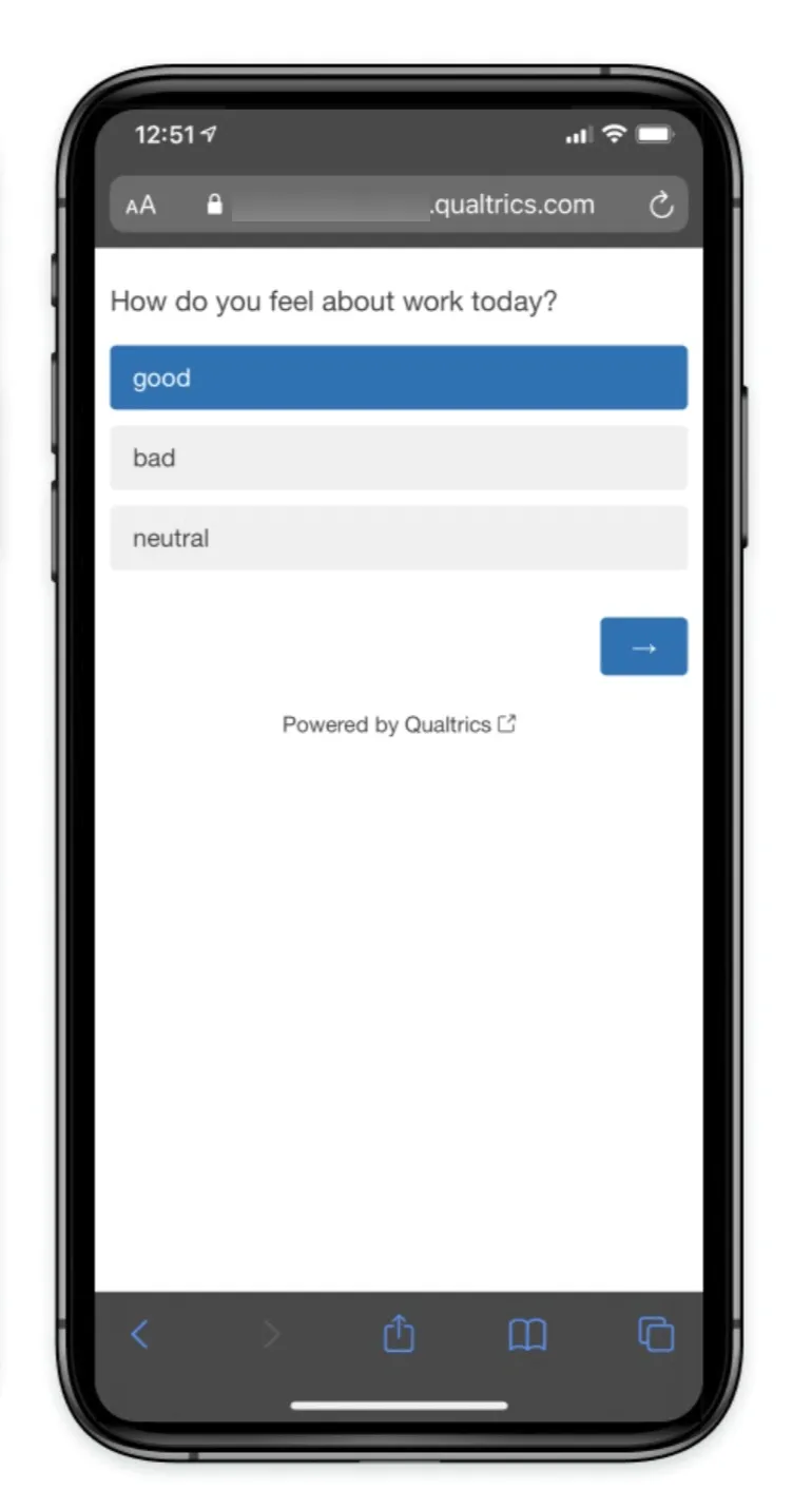 eine Qualtrics-Umfrage, die in den Browser eines mobilen Geräts geladen wird