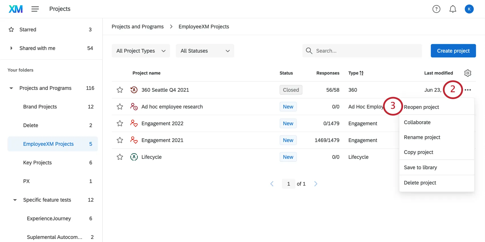 Using the dropdown menu next to the project to Reopen the project