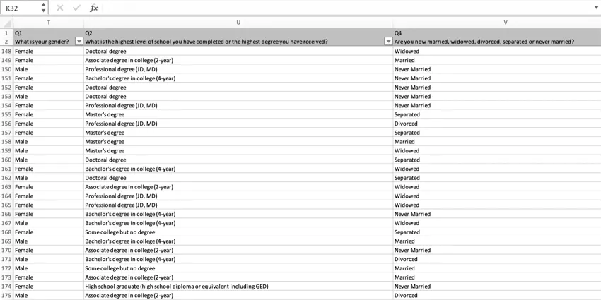 Excel file. Unlike CSV and TSV screenshots, you can see the column headers are grayed out and there are dropdown arrows you can use for advanced column filtering