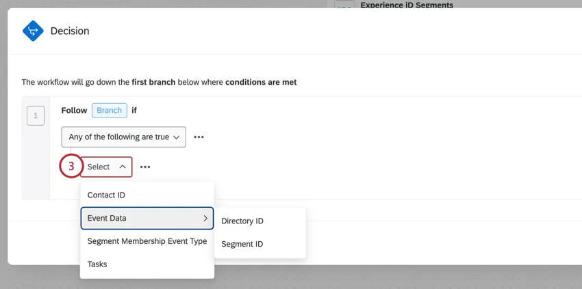 escolher o campo no qual basear a condição