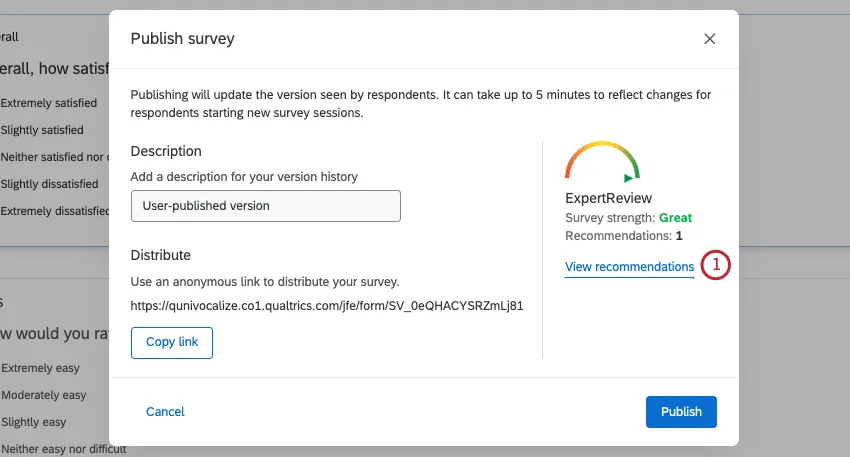image of the expert review module when publishing a survey for the first time