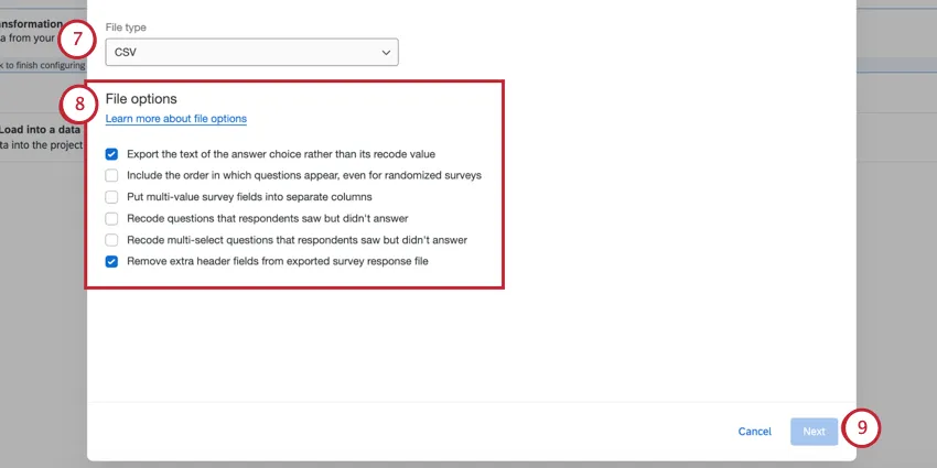 Schermata della serie di opzioni di file visualizzate nella finestra
