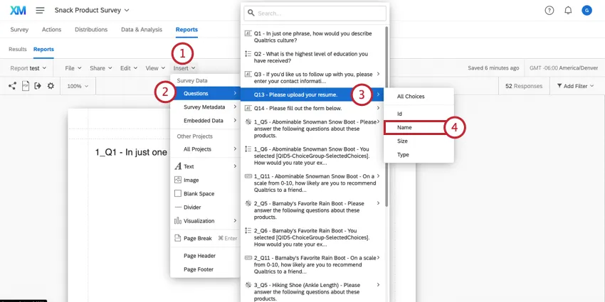 Displaying a file in a report