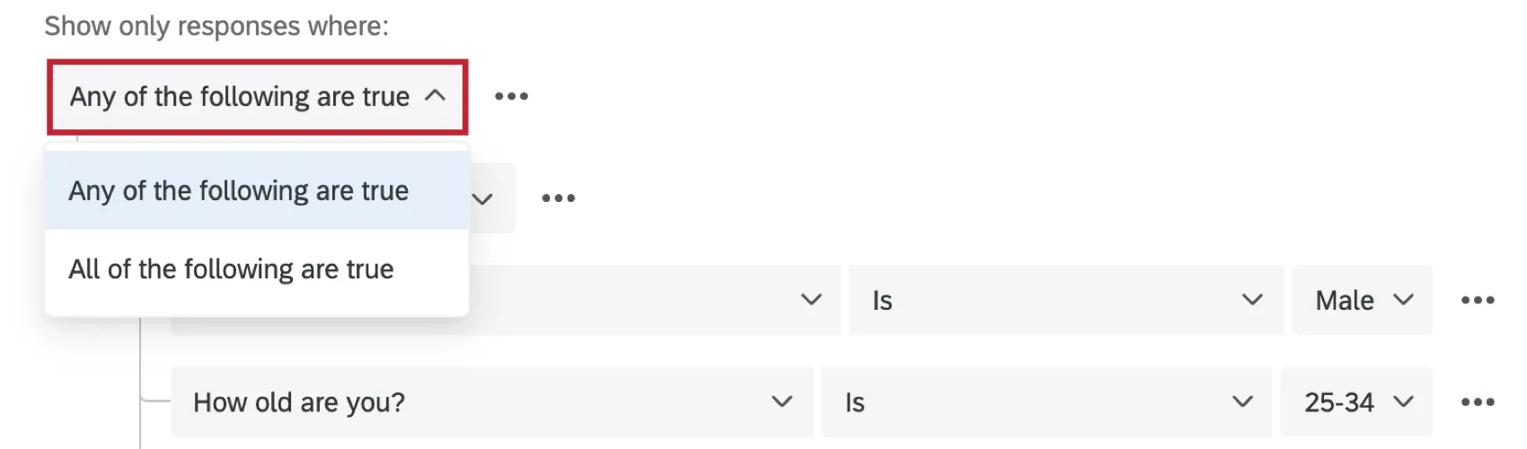 eine der folgenden Bedingungen in der Filter-Dropdown-Liste wahr ist