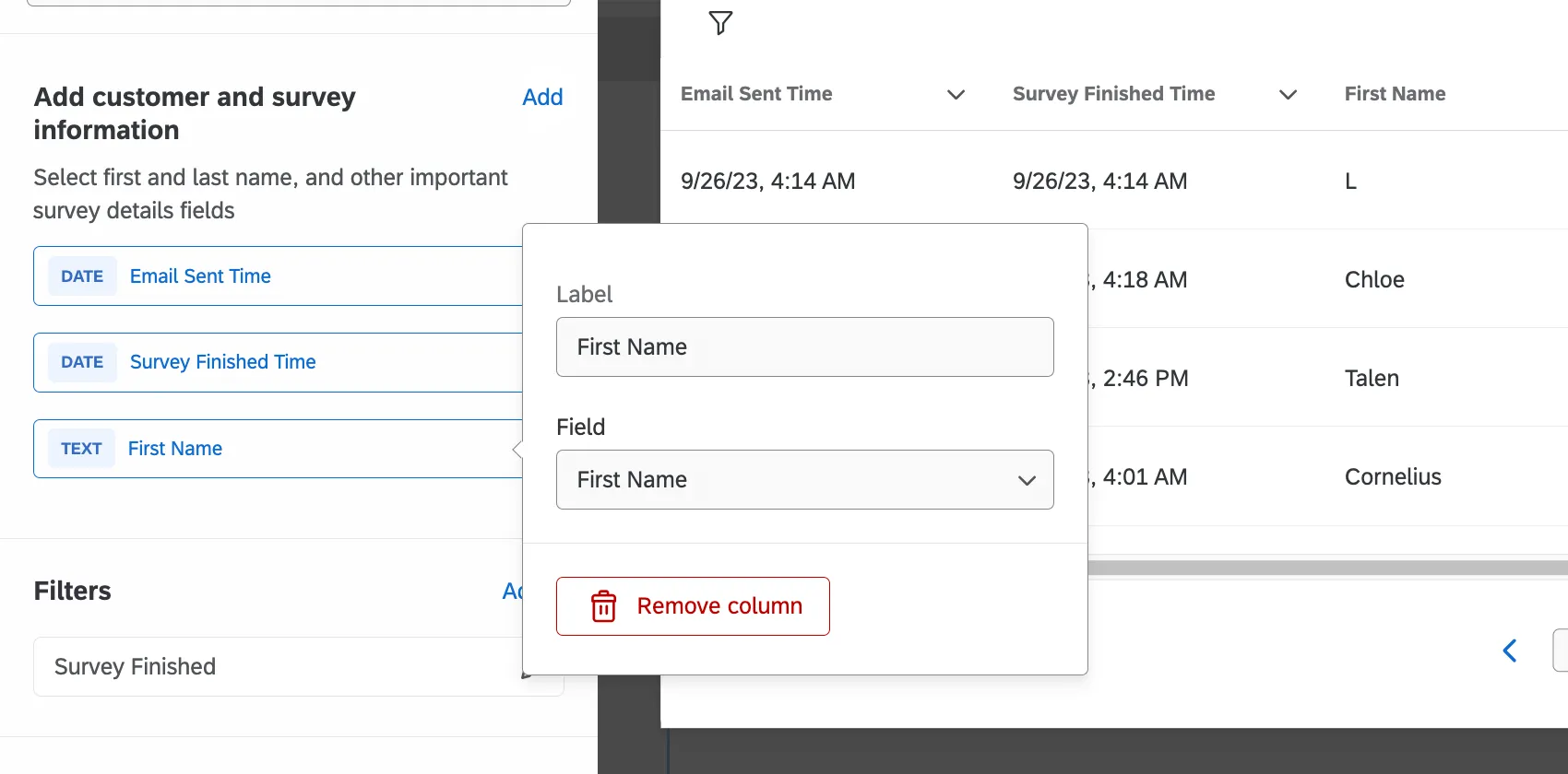 dialog box expanded and remove column button in red