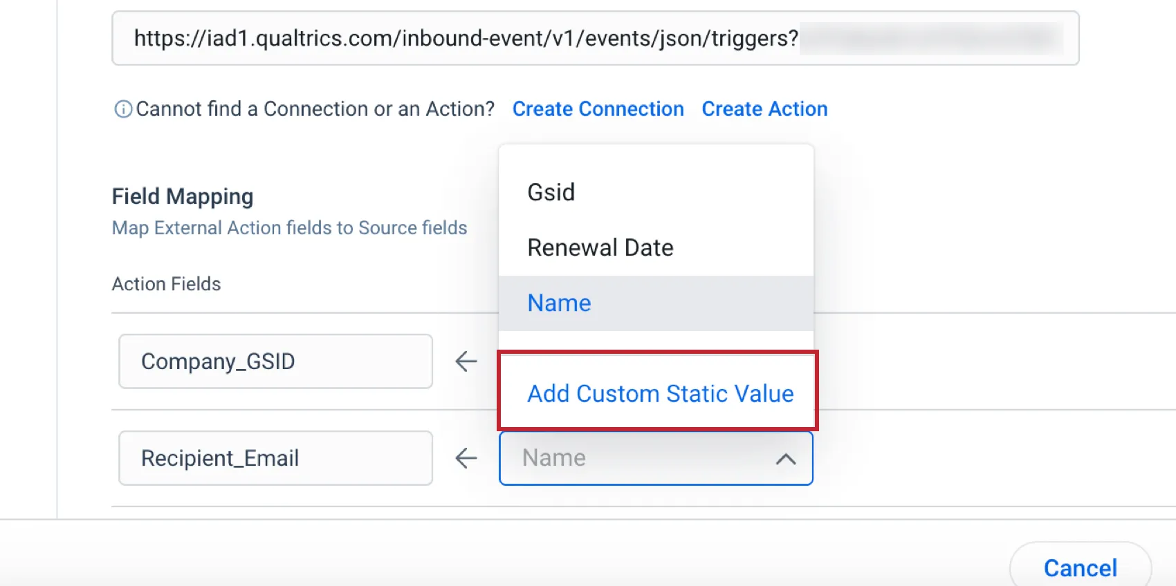 mapping a field as a static value