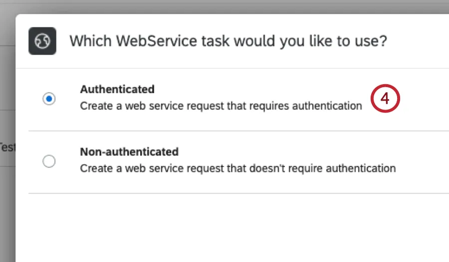 authentifizierte Webdienstoption