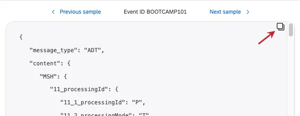 icône de copie sur laperçu du JSON