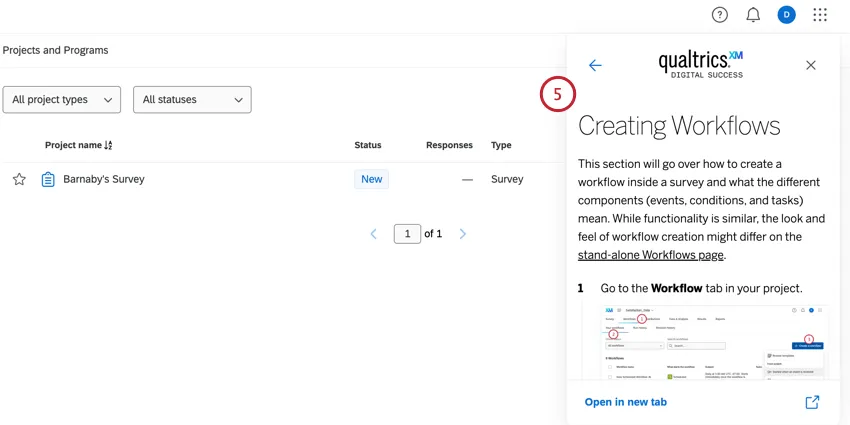 viewing the article in the help window