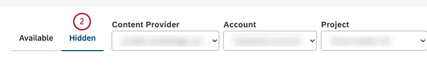 Wählen Sie die Registerkarte Ausgeblendet.