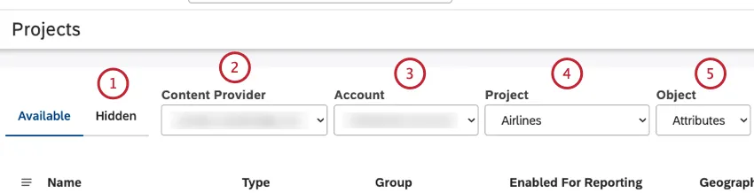 Selezionare la scheda Nascosto. Selezionare fornitore di contenuti, account, progetto, attributi del progetto, modelli di classificazione e rubriche.
