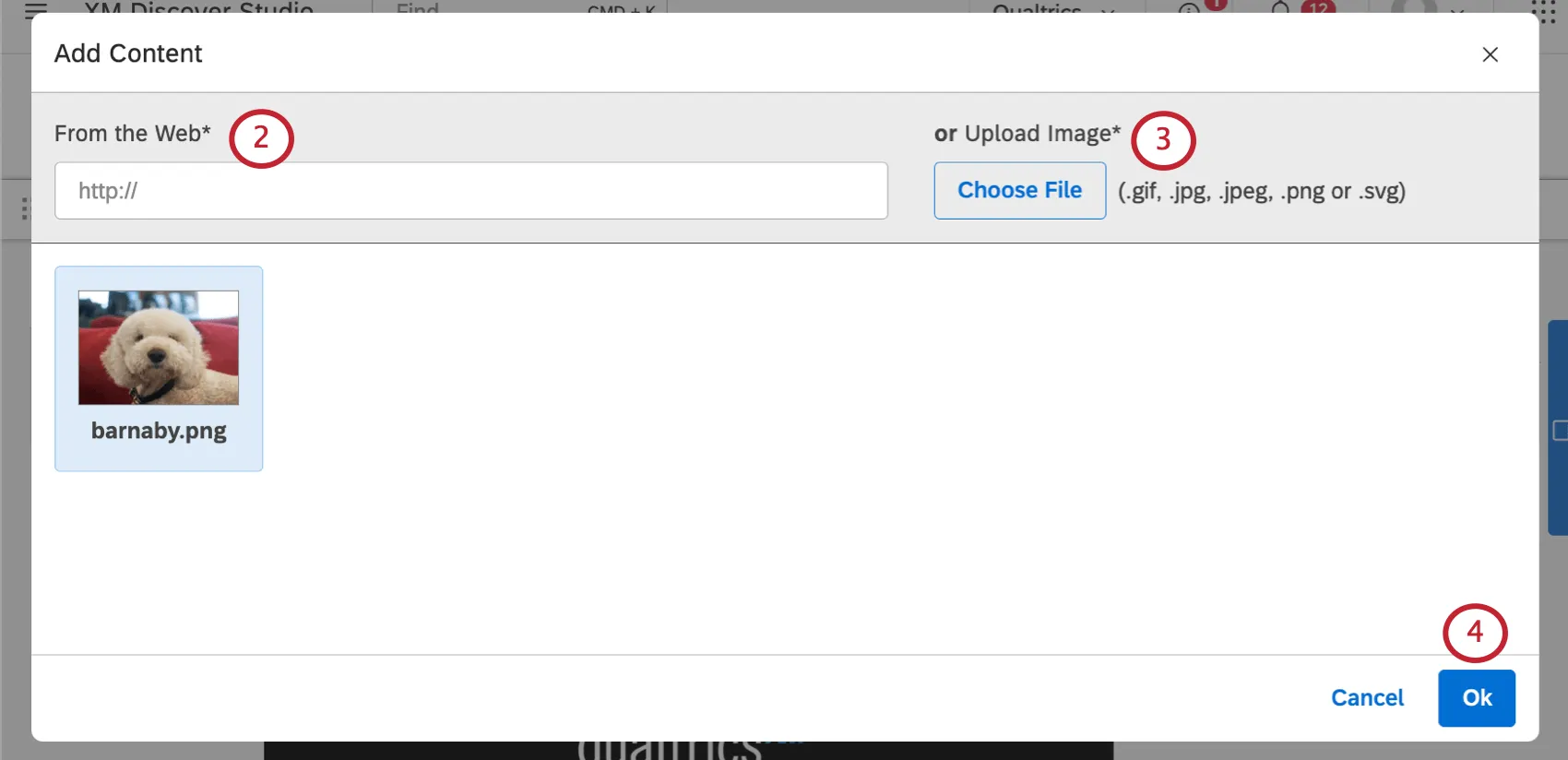 New window where you upload a photo