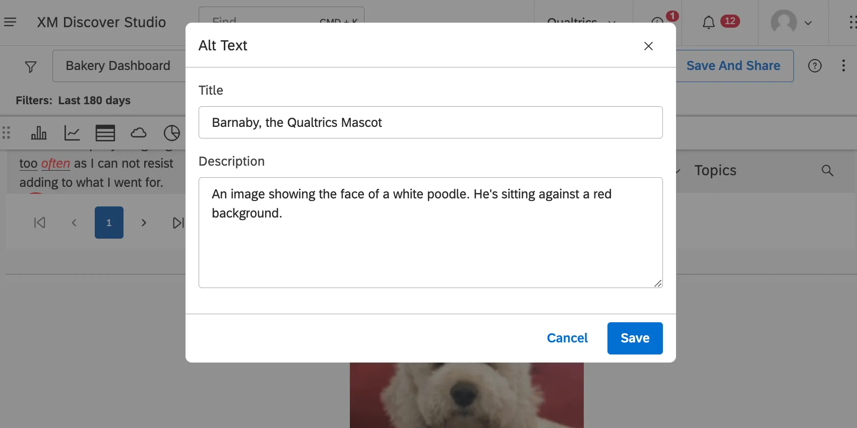 New window where you can add alt text