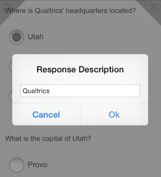 Response Description pop-up text box