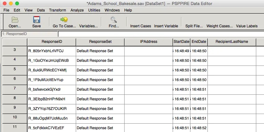 Exportación de datos abierta en SPSS