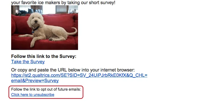 Opt-out survey link found at the bottom of the email message