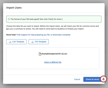 check for errors button