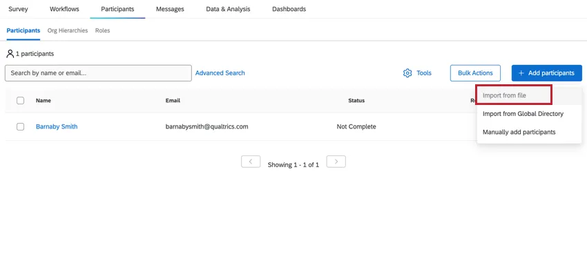 the import from file option disabled in a project