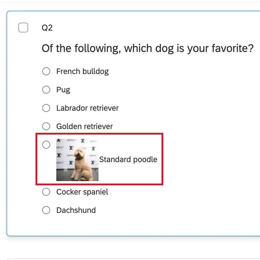 画像の右側にテキストが表示される