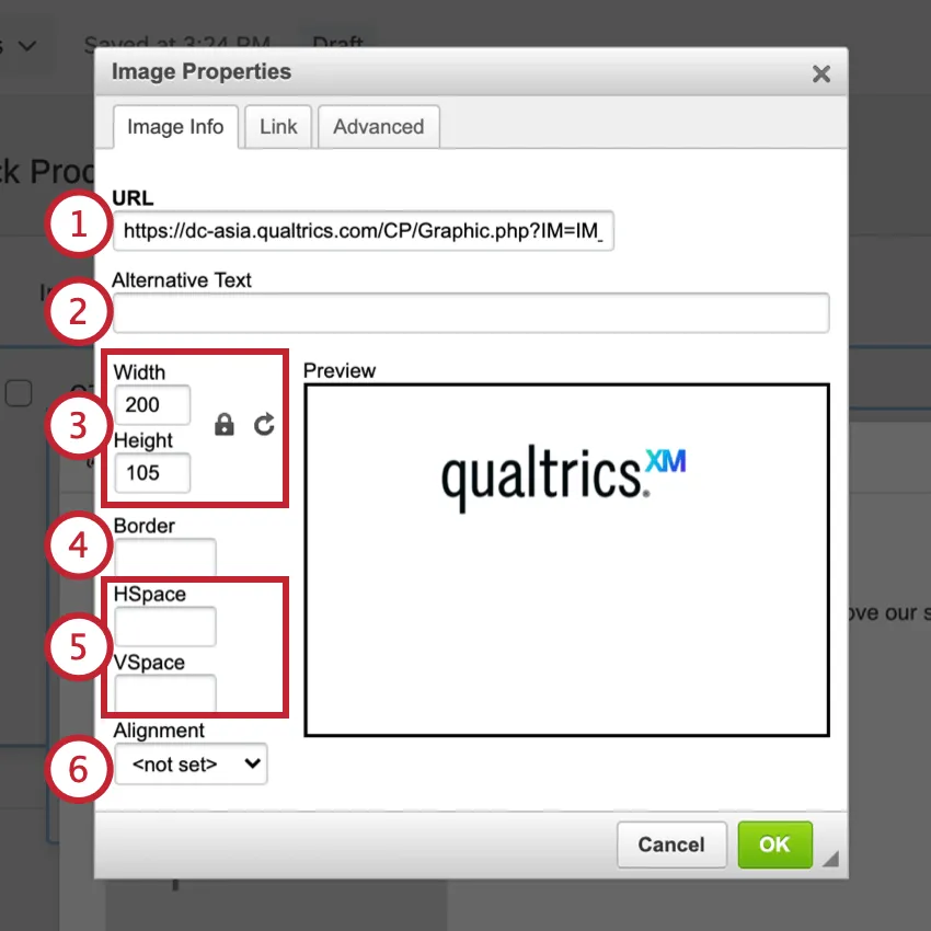 Image info section of the image properties window
