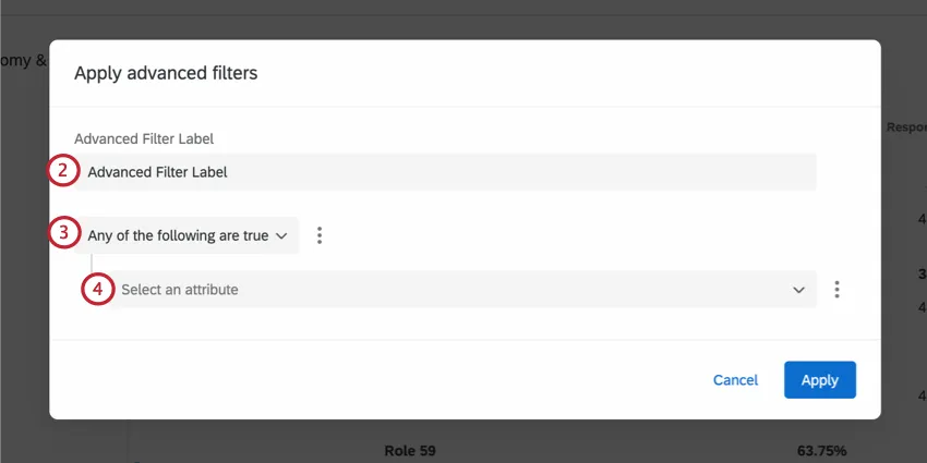 giving the advanced filter a name, and creating the filter conditions