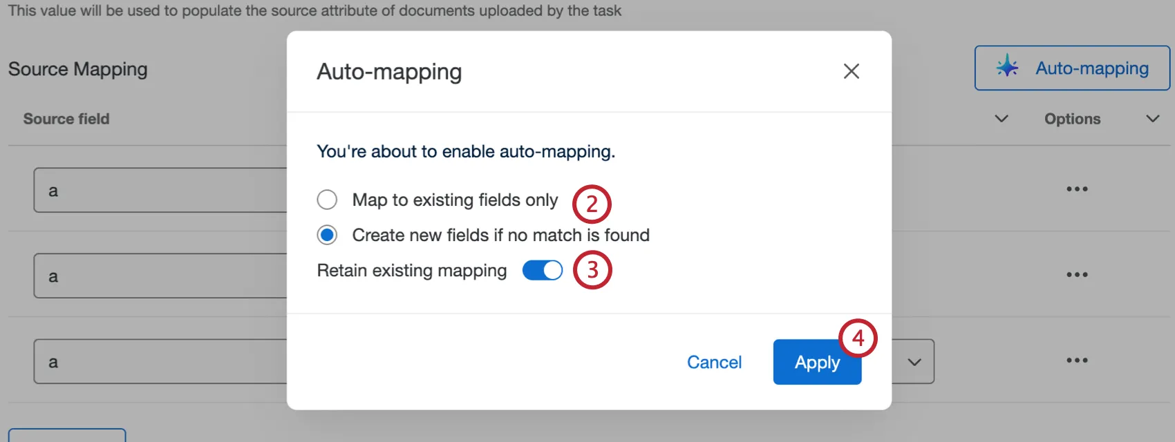 auto-mapping options