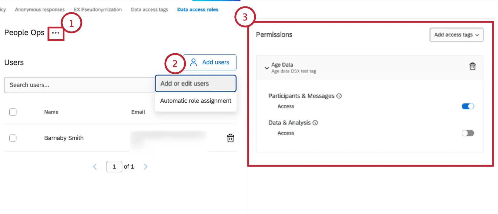 managing data access roles