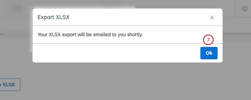 Click Ok in the Export XLSX window.