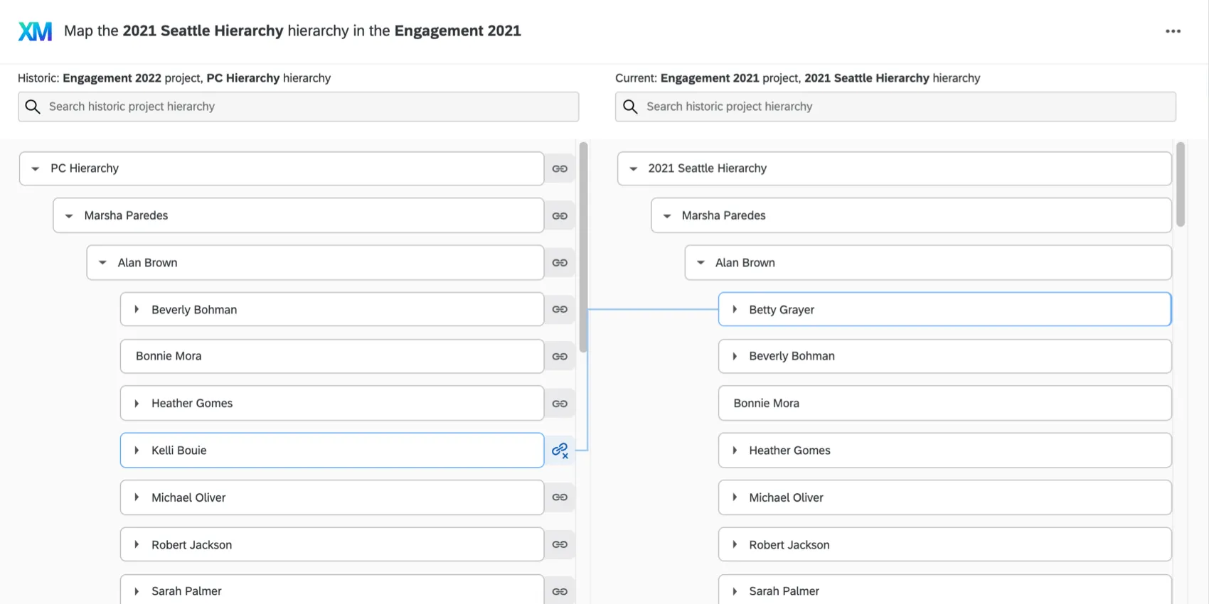 the automatically mapped hierarchies