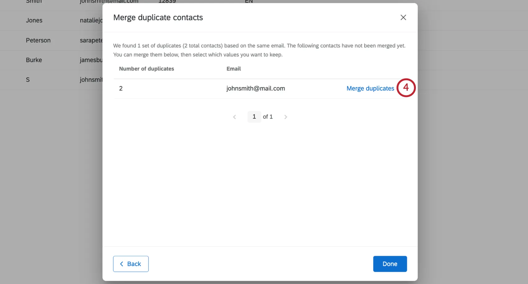 Screenshot of a new window opened over the mailing list showing the list of duplicates identified