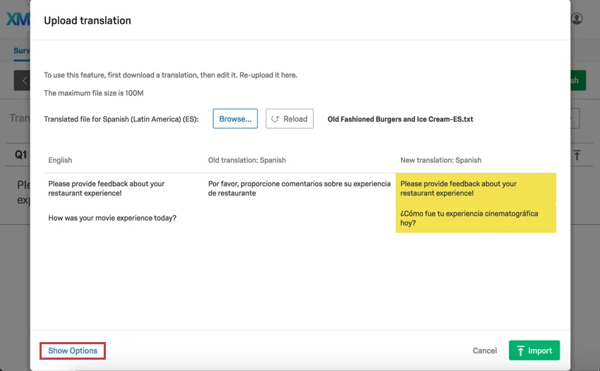 Optionen anzeigen Blauer Link links unten im Upload-Fenster