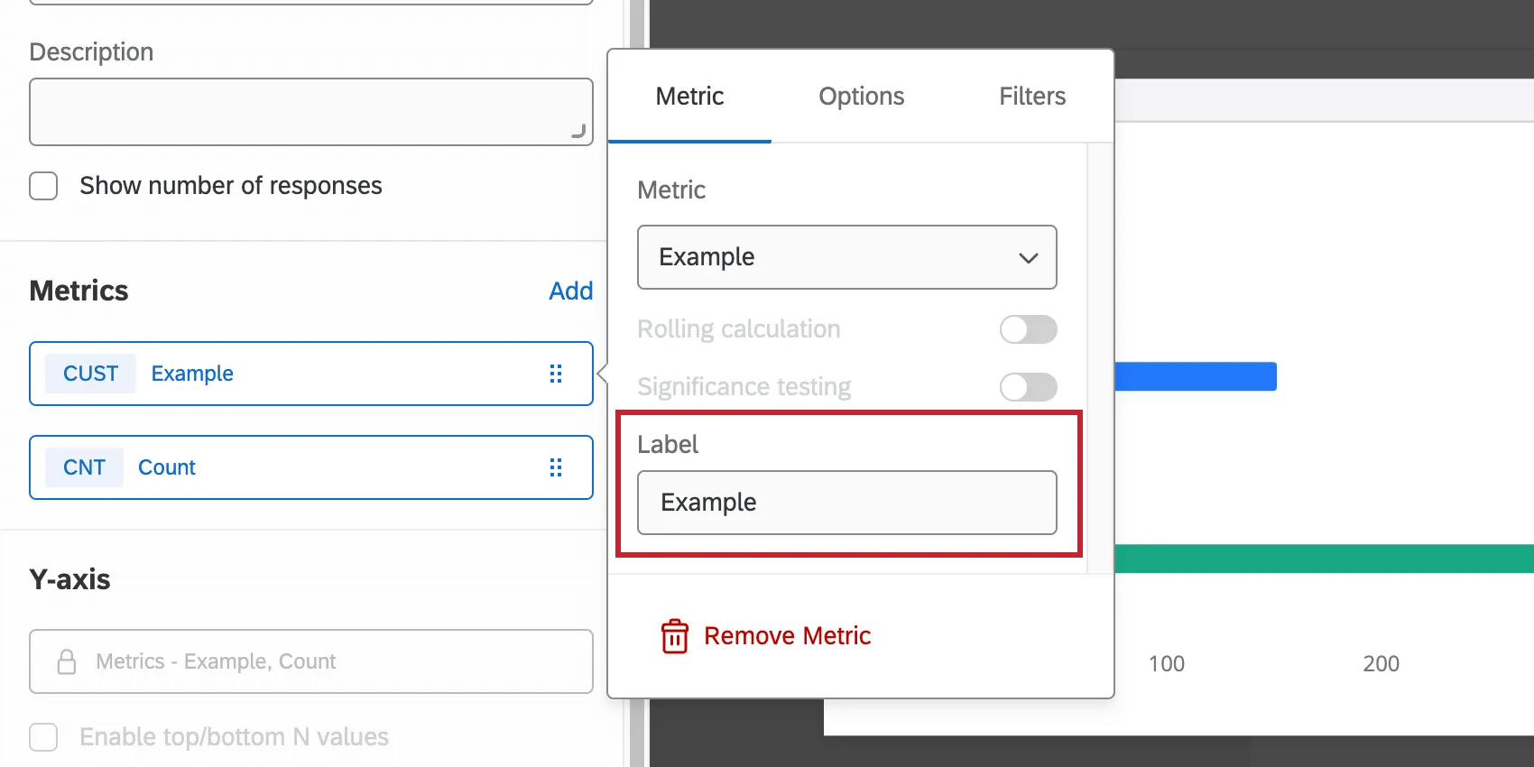 Label text box in Metric tab