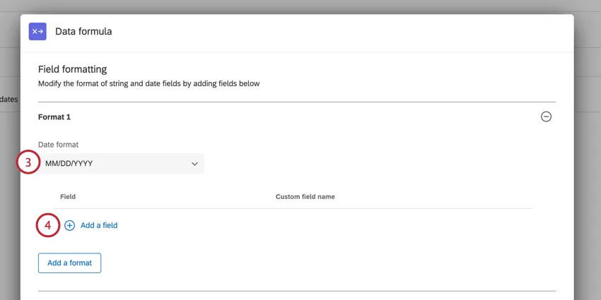 choosing the desired date format and then clicking add a field