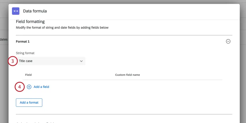 choosing the format and adding a field
