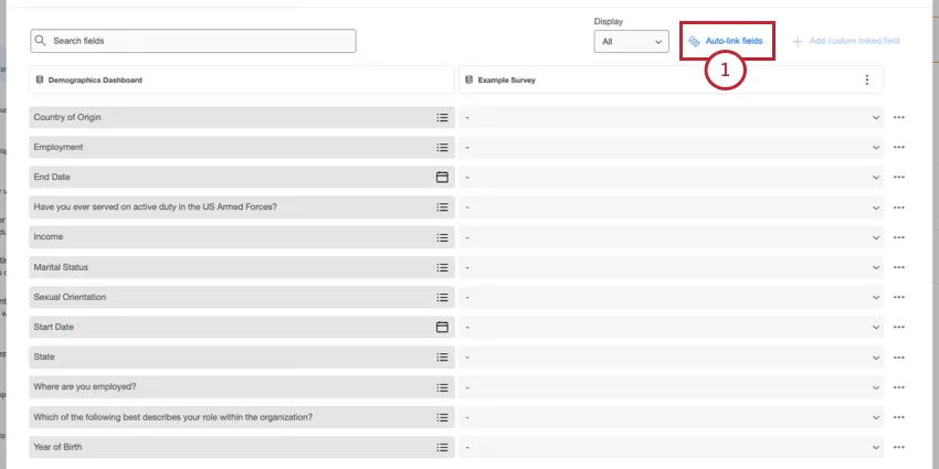 auto-link fields button at top of linked fields window