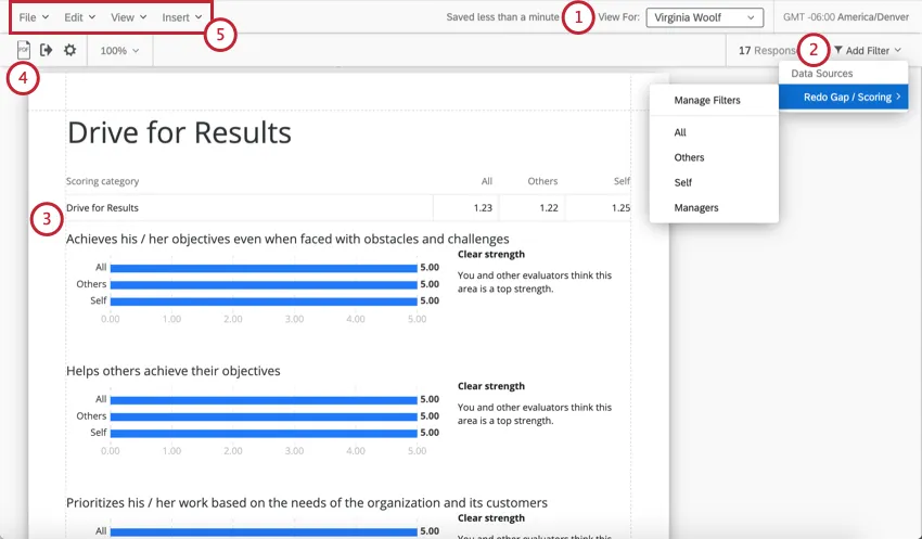 Toolbar along top; contains, left, the PDF export button, and right, the subject selector and the filter dropdown. Below that, the actual report populates, where you can add visualizations