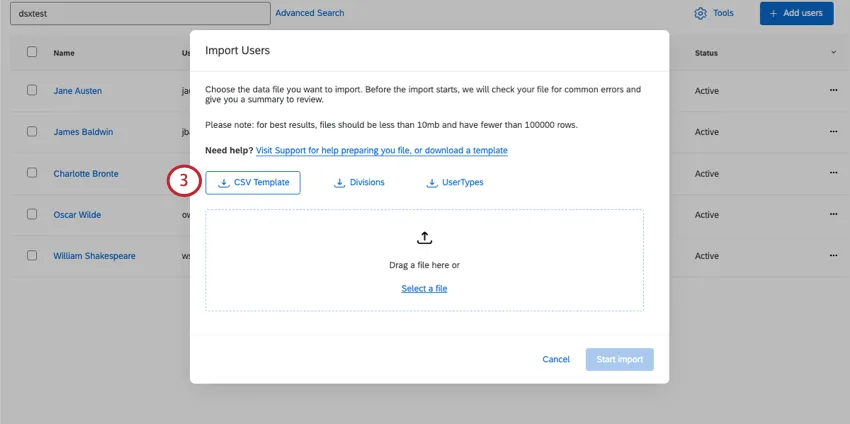 Nuova finestra in cui è possibile scaricare un modello CSV