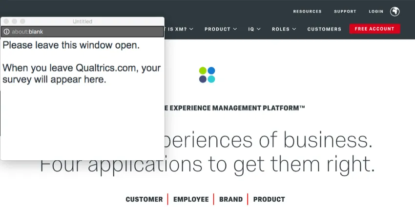 A window over the page saying the site exit survey will appear after the visitor exits