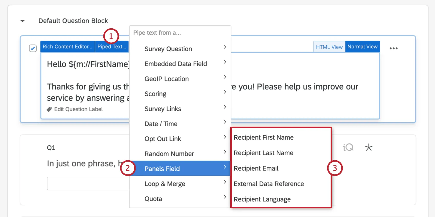 The piped text window is open and Panels Field is selected