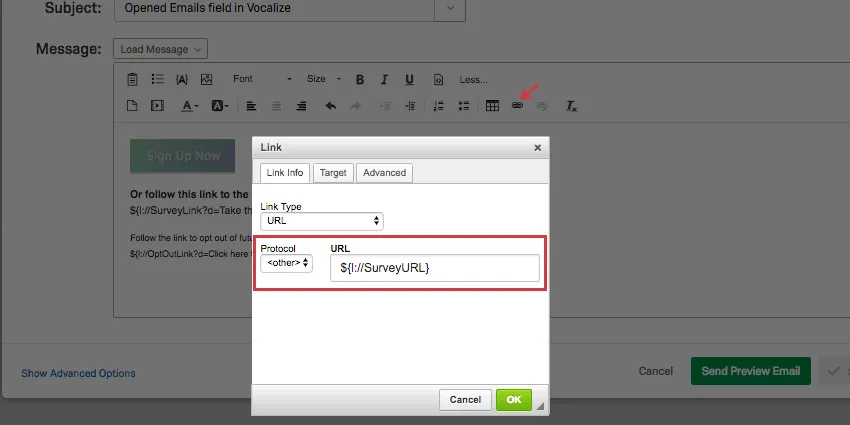 The button image added to the email is highlighted. The hyperlink button is then selected and the protocol is set to other, while the discussed piped text is pasted into the URL field