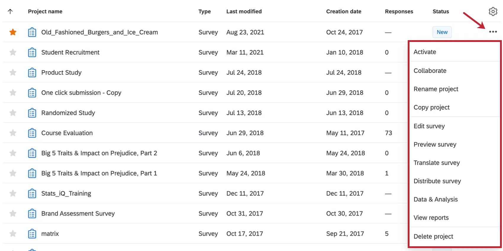 Project Actions dropdown menu to the right of a project