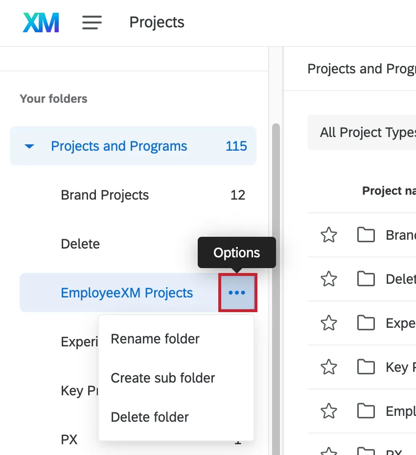 Three dots dropdown options next to folder name