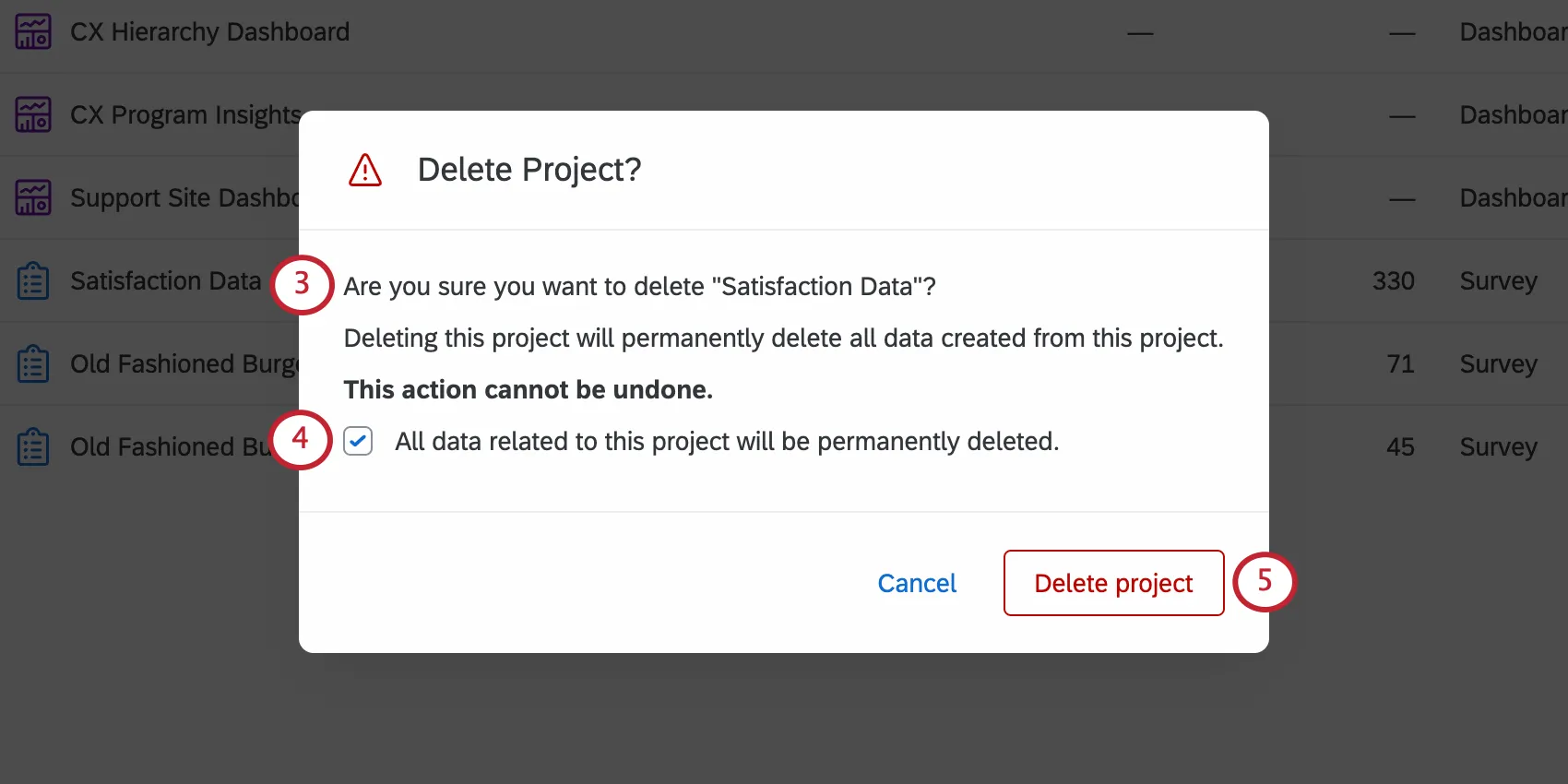 Delete Project window