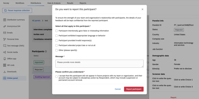 window where you provide more information for your report