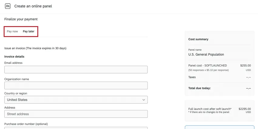pay now and pay later tabs at the top of the payment page are highlighted