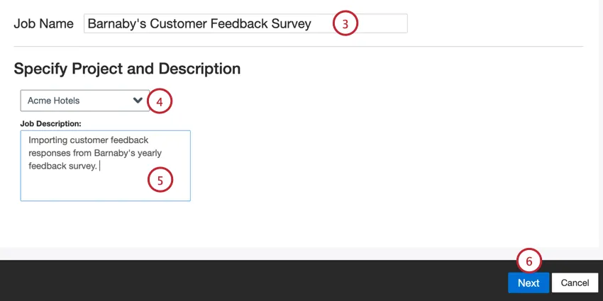 giving the job a name, choosing a project, and entering a description
