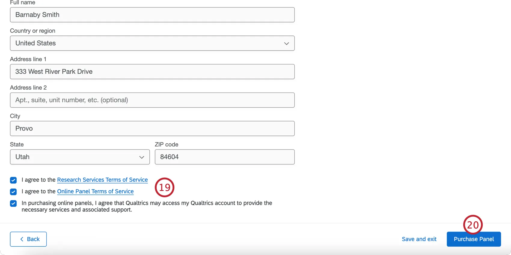 accepting the terms of service and submitting the payment