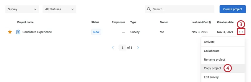 clicking on project options and selecting copy project