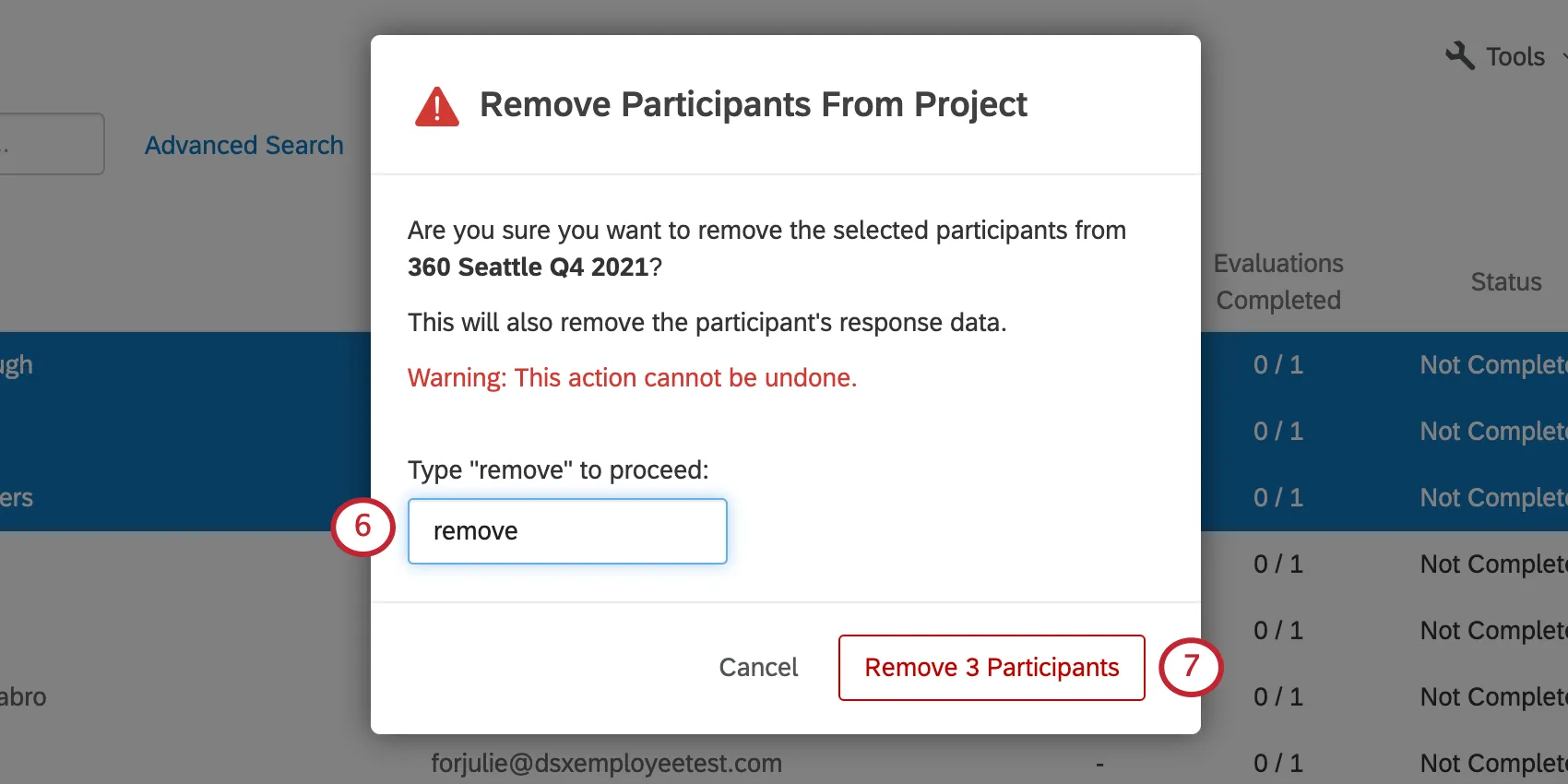 Window remove participants from project opens over the participants tab and has a field for typing "remove"